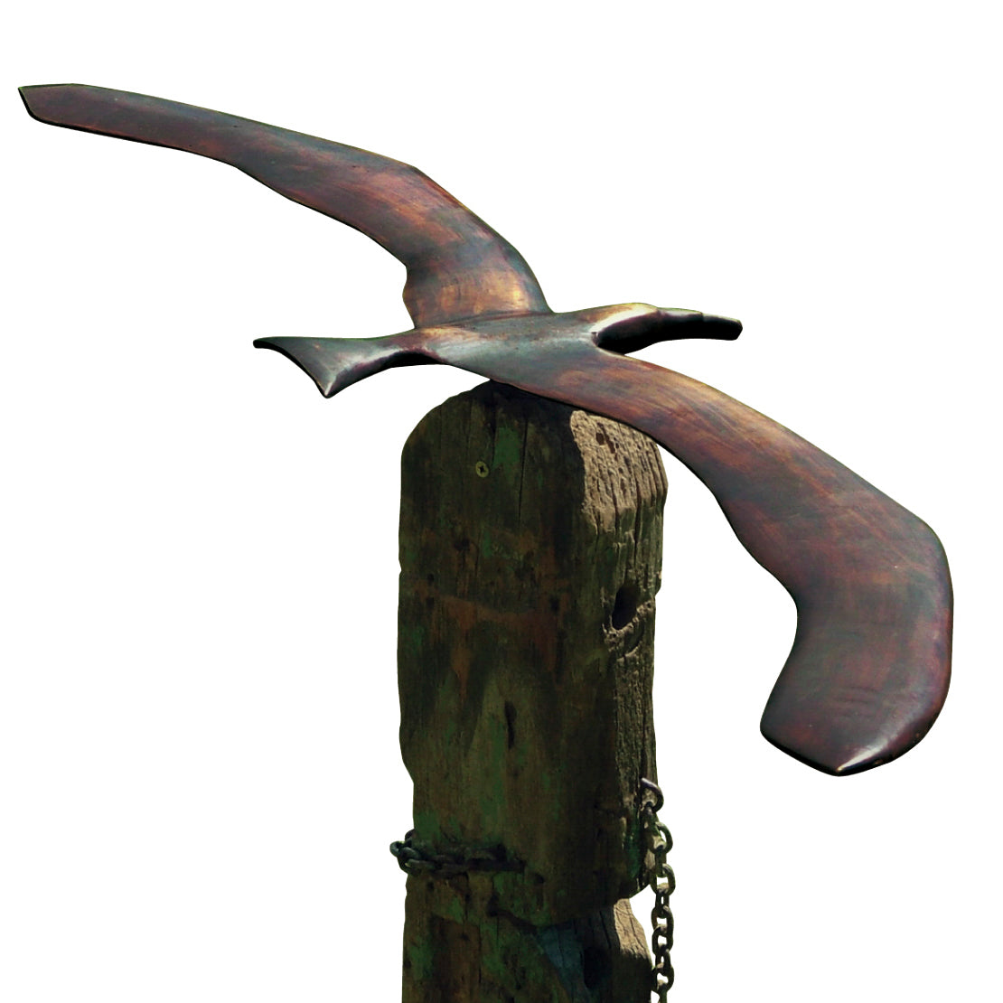 Koa Bronze - Jay Lloyd. ALBATROSS ON POST