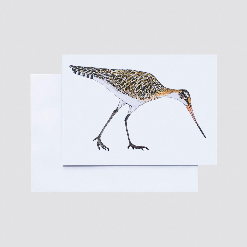 Brenda Hart. Collection of 4 Greeting cards