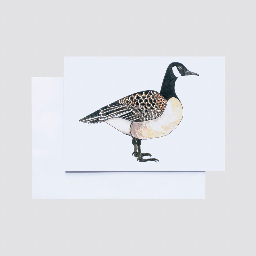 Brenda Hart. Collection of 4 Greeting cards