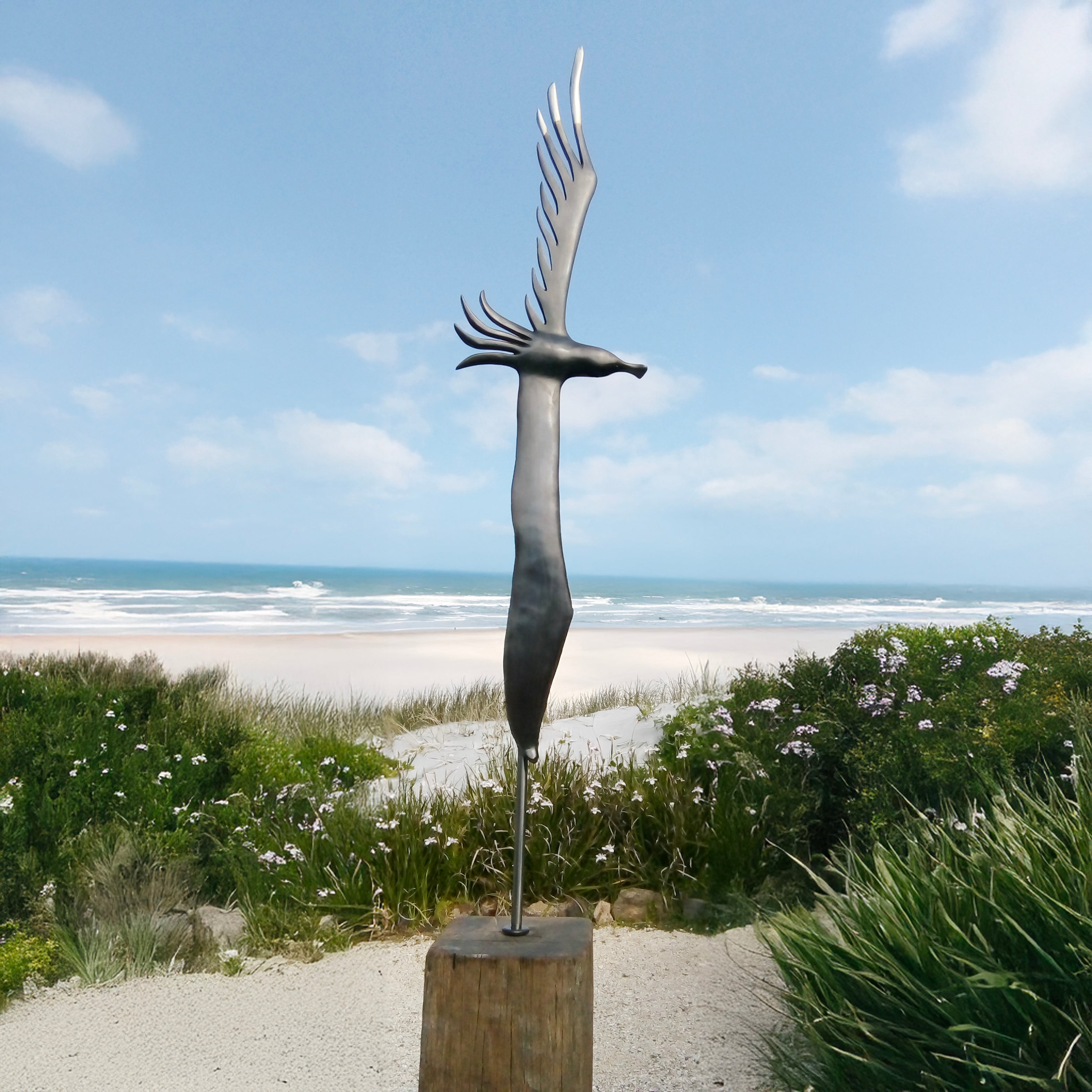 Koa Bronze - Jay Lloyd. DISSIPATE ALBATROSS