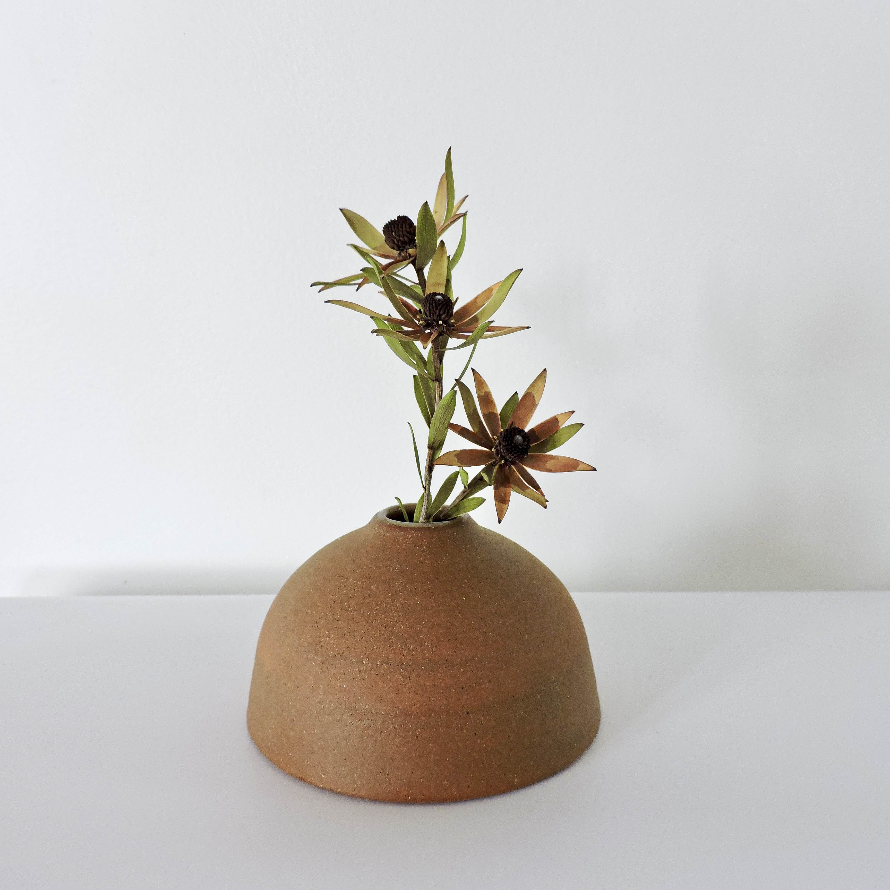 Nadine McConnell Ceramics. Fawn Half Bottle Vase