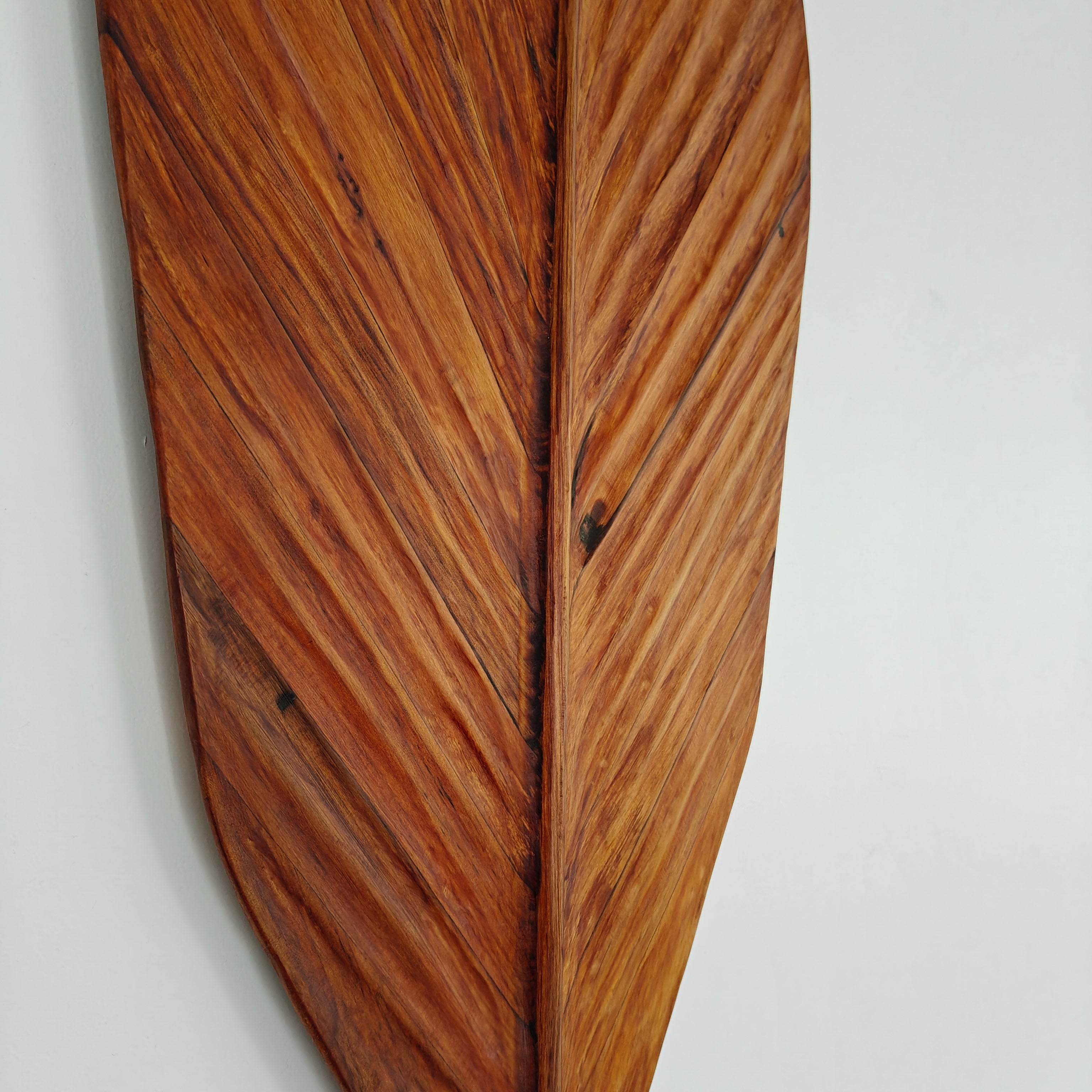 Nice.Jo. - Jo Bidwell. Nikau Palm