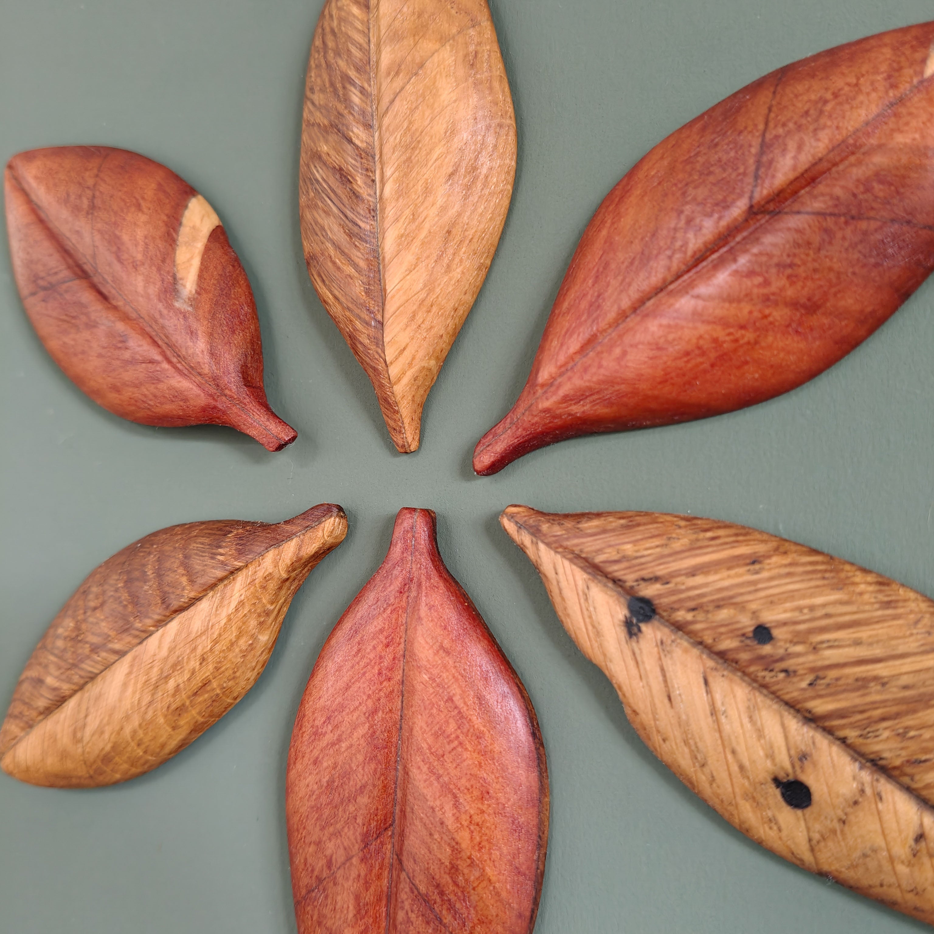 Nice.Jo. - Jo Bidwell. Pohutukawa Leaves 01