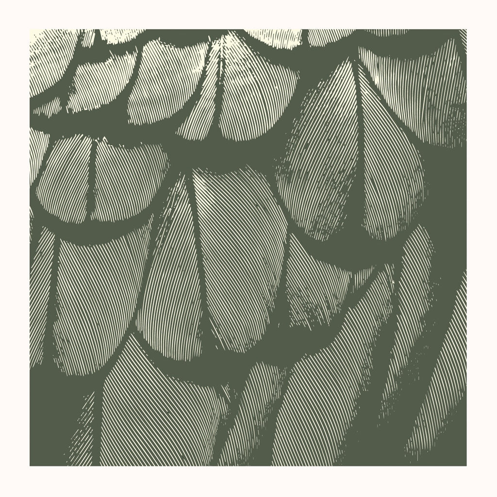 OOAK. Kea Feathers | Green