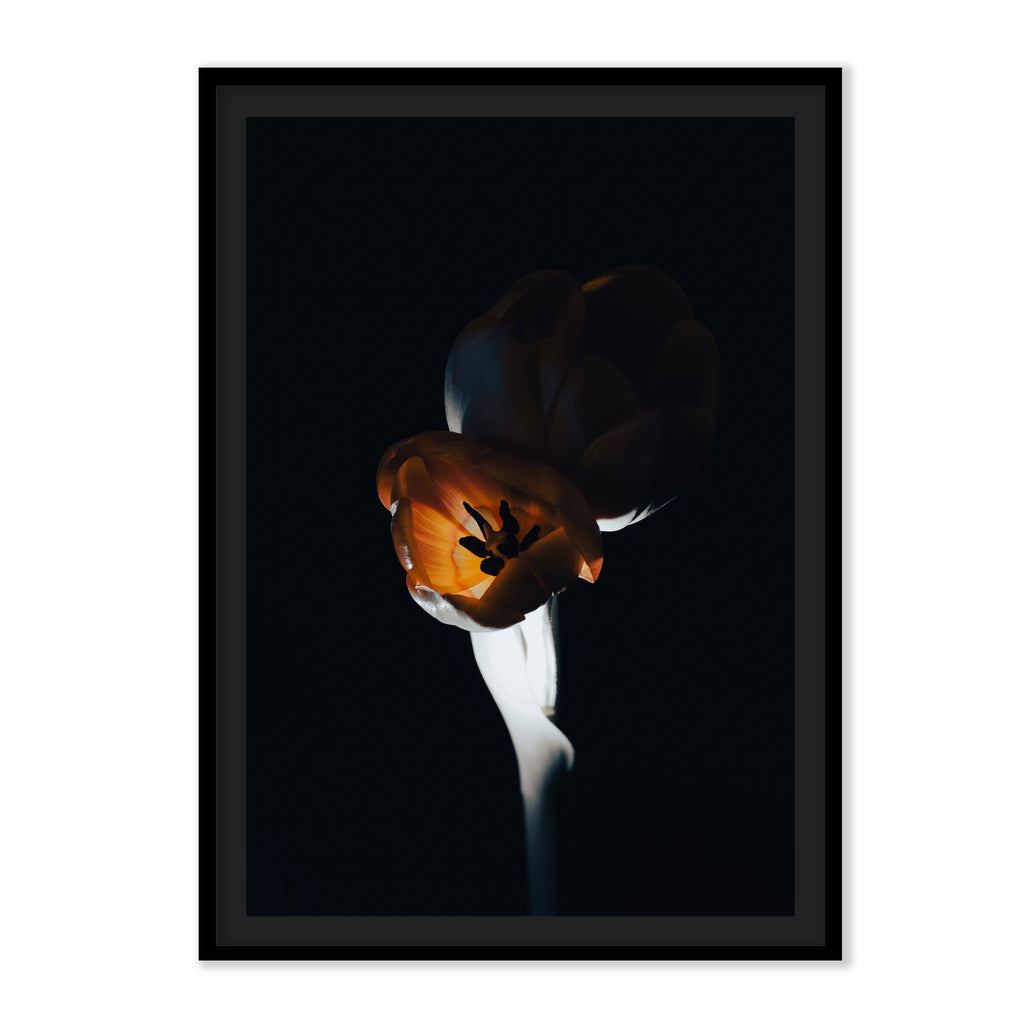 The L Studio. NIGHT FLAMES - Limited Edition