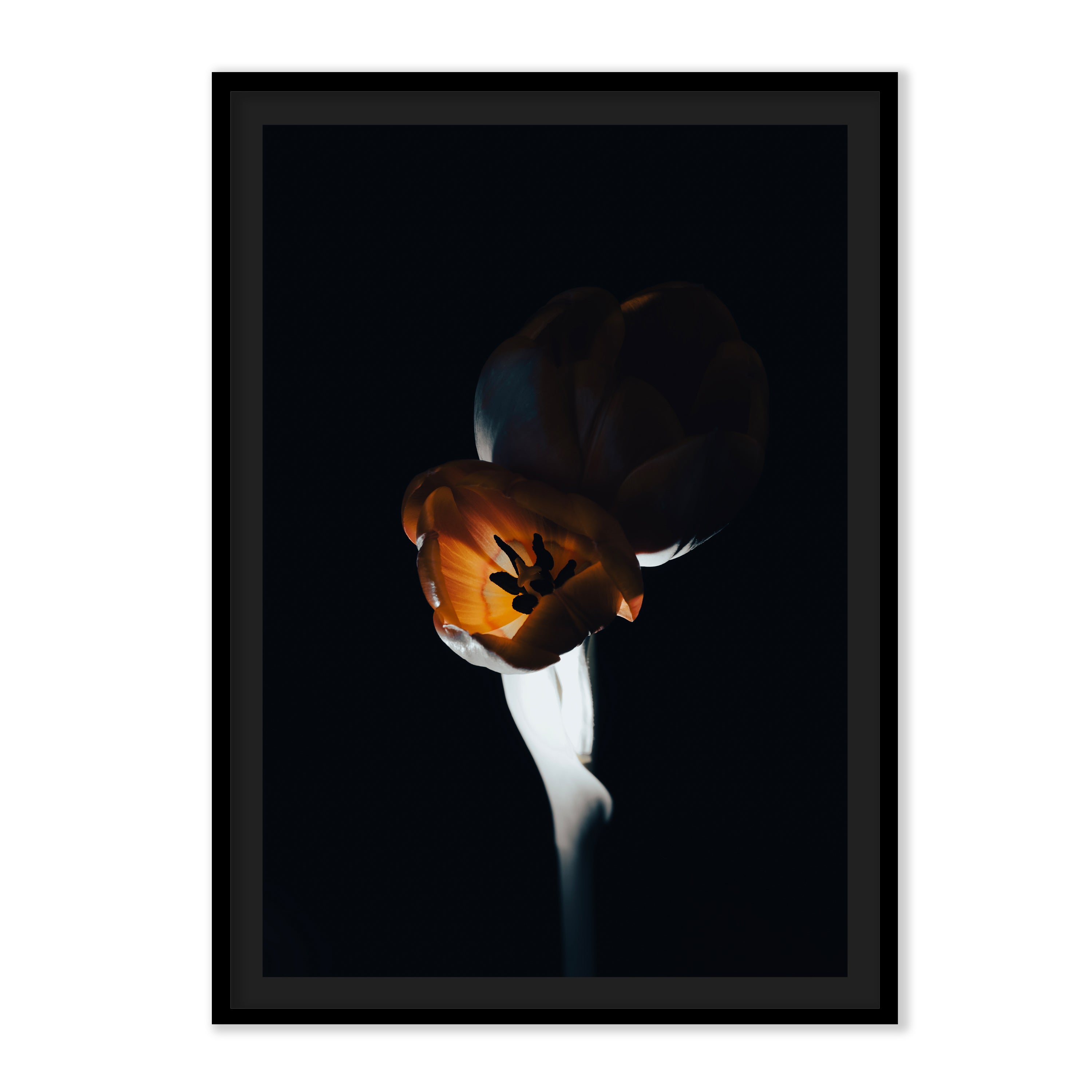 The L Studio. NIGHT FLAMES - Limited Edition