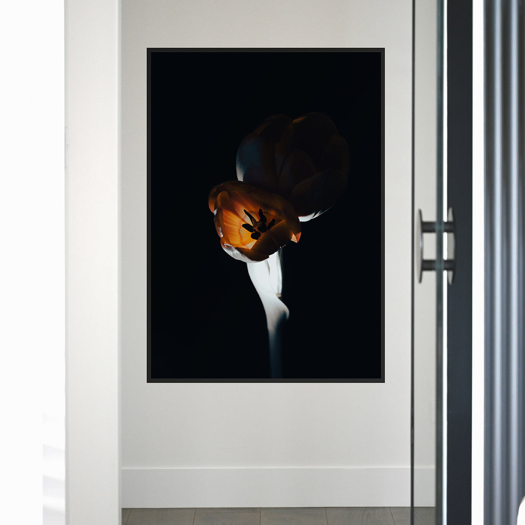 The L Studio. NIGHT FLAMES - Limited Edition