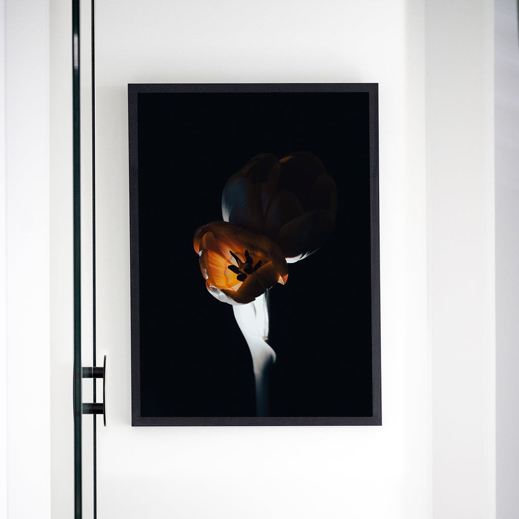 The L Studio. NIGHT FLAMES - Limited Edition