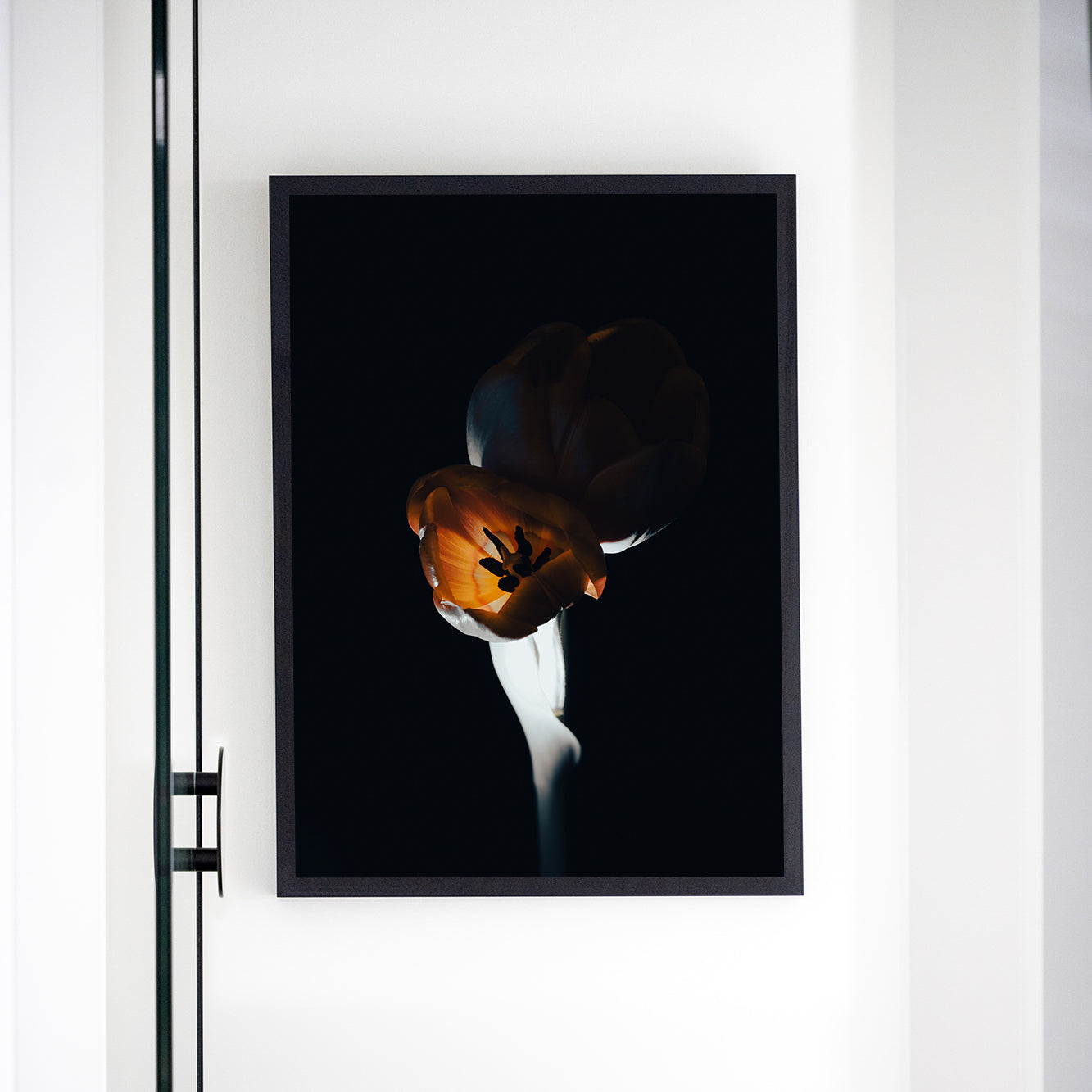 The L Studio. NIGHT FLAMES - Limited Edition