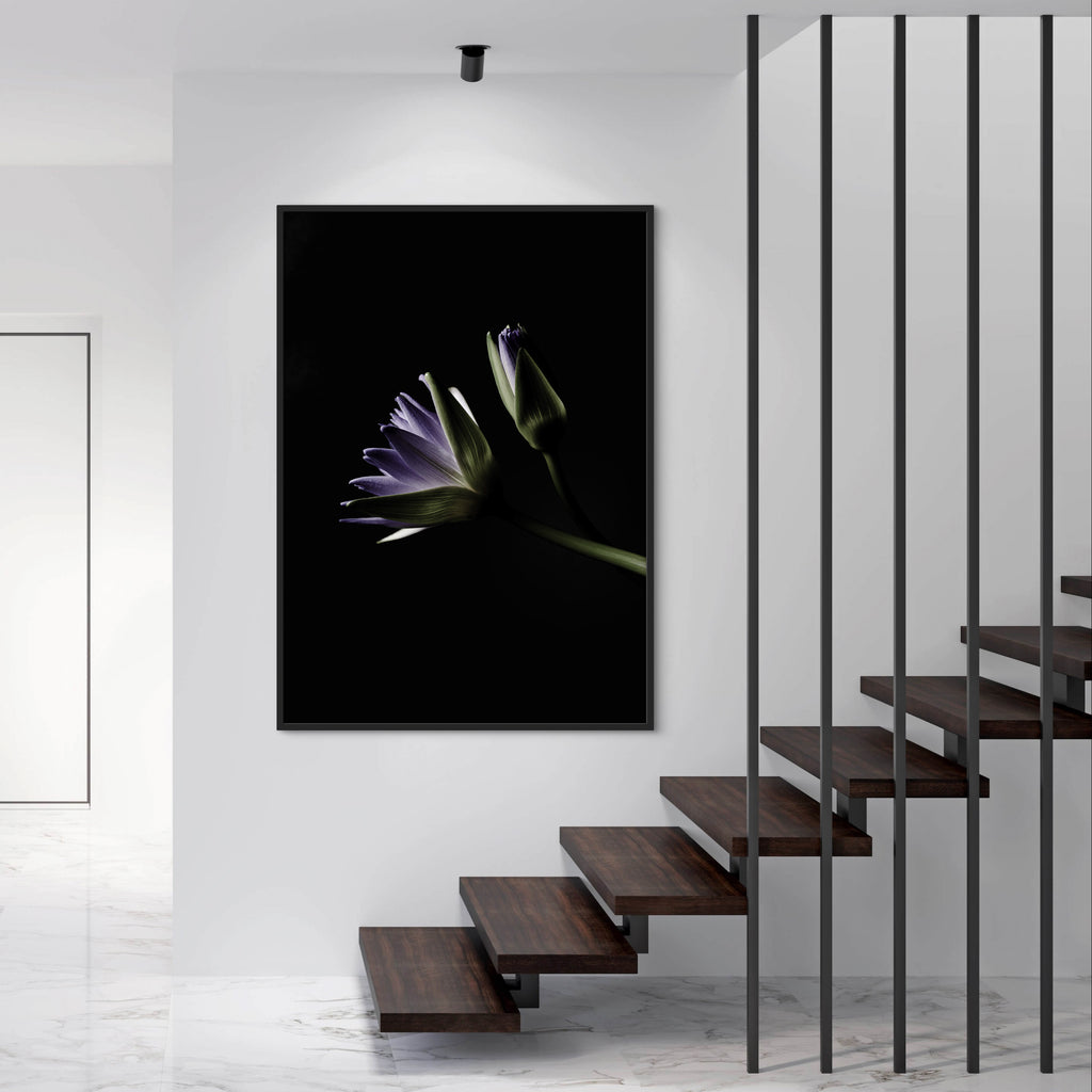 The L Studio. WHERE WATER LEARNS TO BREATHE - Limited Edition