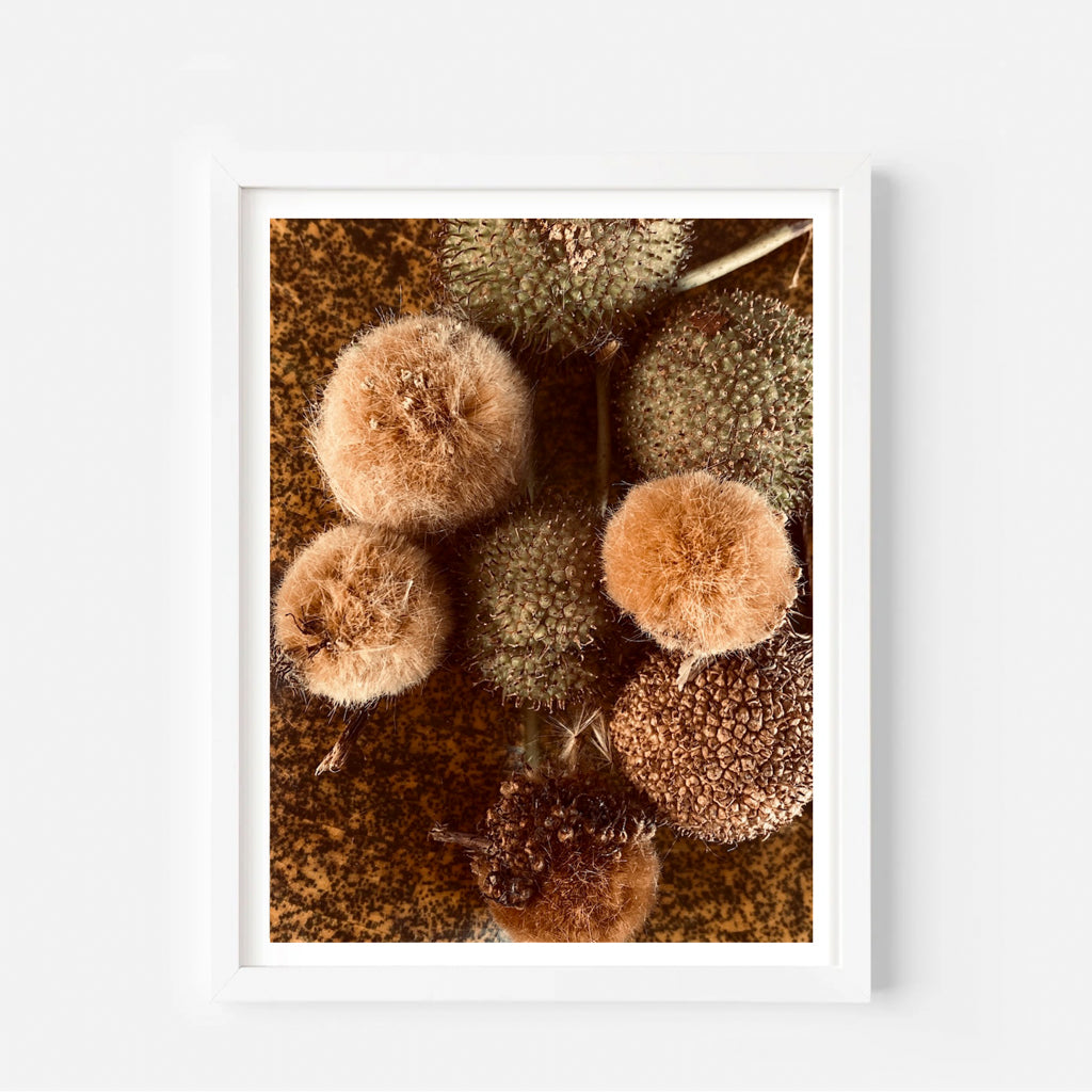 virginiejg. Collection Vintage | Cuddles