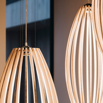 Form 53 - Gus Leen Design. Conic Pendant